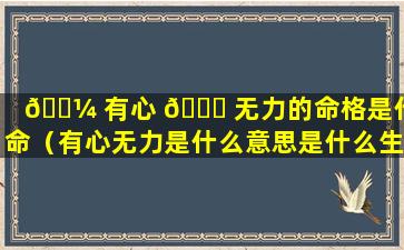 🌼 有心 🐛 无力的命格是什么命（有心无力是什么意思是什么生肖）